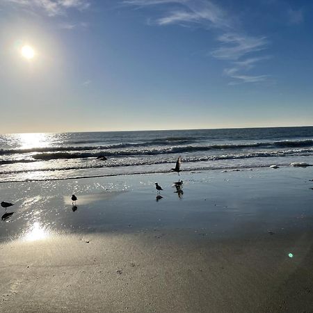 Blue Palmetto Vacation Rentals 默特尔比奇 外观 照片
