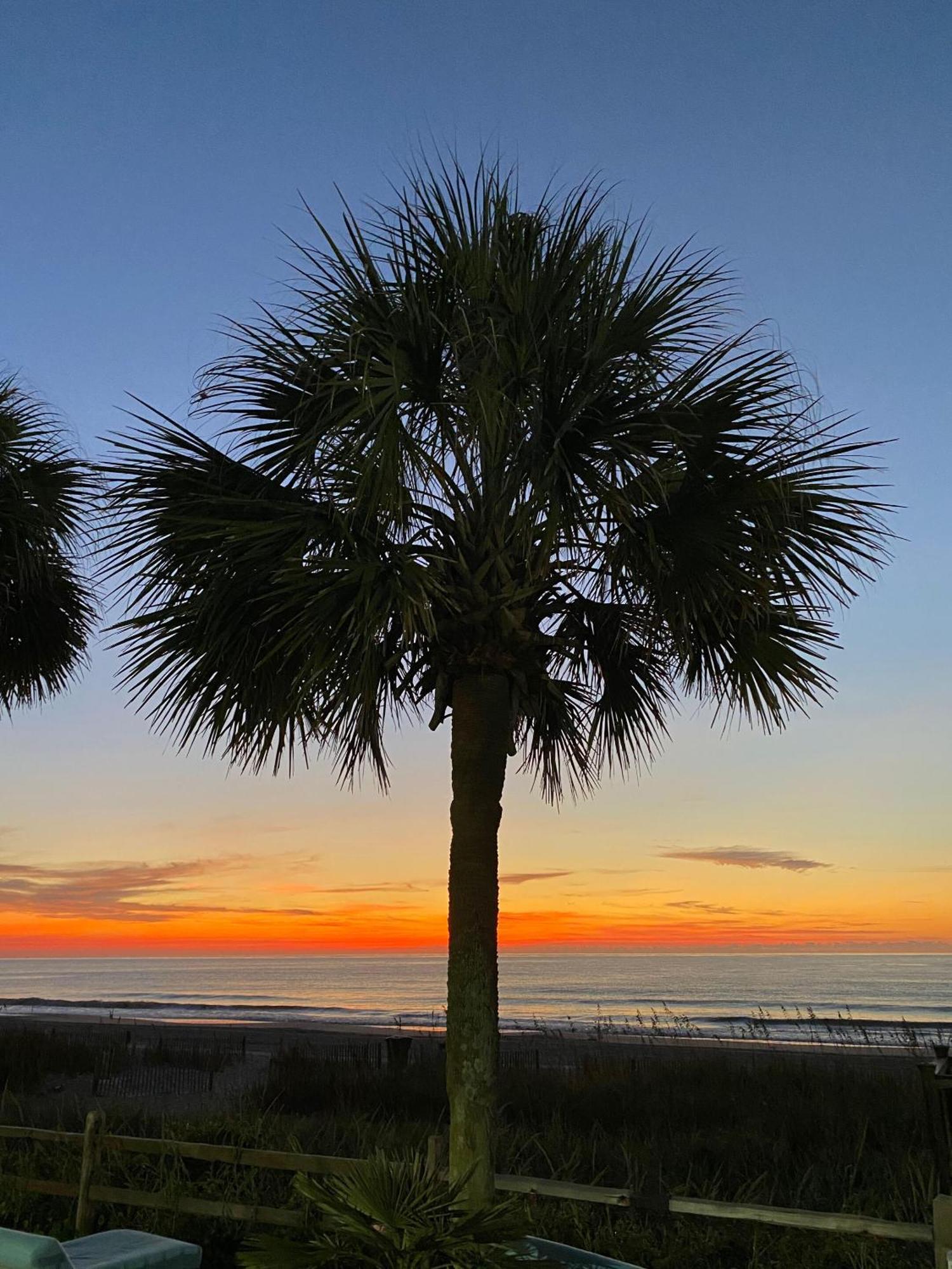 Blue Palmetto Vacation Rentals 默特尔比奇 外观 照片